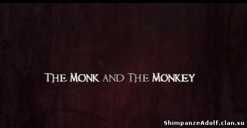 The monk & the monkey